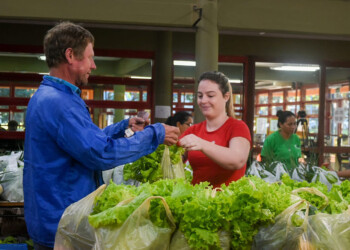 Este miércoles se pueden retirar los combos universitarios de verduras
