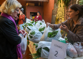 Este miércoles se pueden retirar los combos universitarios de verduras