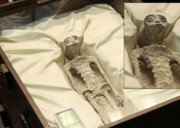¿Están entre nosotros? Presentaron cadáveres de supuestos extraterrestres