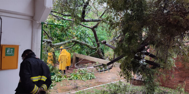 Foto: Más Encarnación