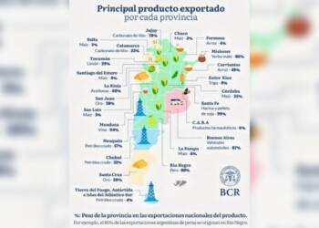 Misiones, yerba; Corrientes, arroz; qué y cuánto exporta cada provincia