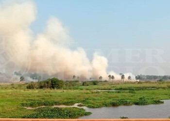 Hay alerta “muy alto” por incendios en Misiones y piden evitar cualquier tipo de quema