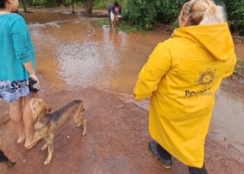 La lluvia no da tregua: en Apóstoles hubo que asistir a varias familias este lunes