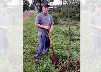 Siembra árboles y genera conciencia ambiental