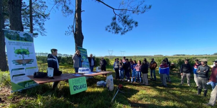 MANEJO ORGÁNICO. La capacitación trabajó sobre la transición de la producción convencional a la orgánica.