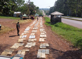 Se arrojó de una camioneta en la que llevaba más de tres toneladas de marihuana