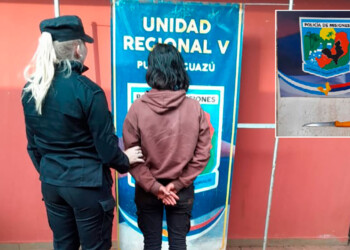 Detuvieron a la joven que apuñaló a su vecina en Comandante Andresito