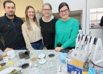 Avanza proyecto de producción de pilas a base de yerba mate