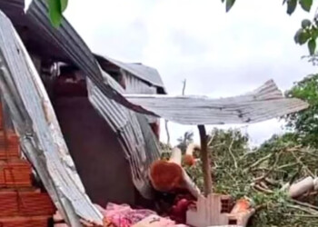 Conmoción por la muerte de una joven a raíz del temporal: cayó un árbol sobre su casa