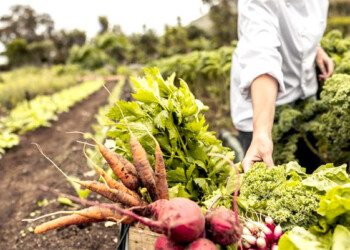 La 1° Cumbre de Agricultura Sostenible del Mercosur se realizará en Misiones