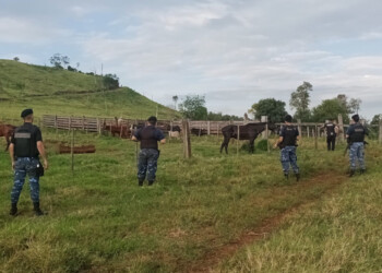 “Todo lo que es robo se da como algo cultural, porque no hay castigo”