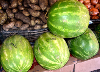 Una bomba: la sandía se vende a $10 mil y crece el fenómeno de comprarla por rodaja