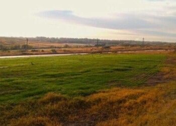 Aprovechan residuos industriales para fabricar “suelos artificiales”