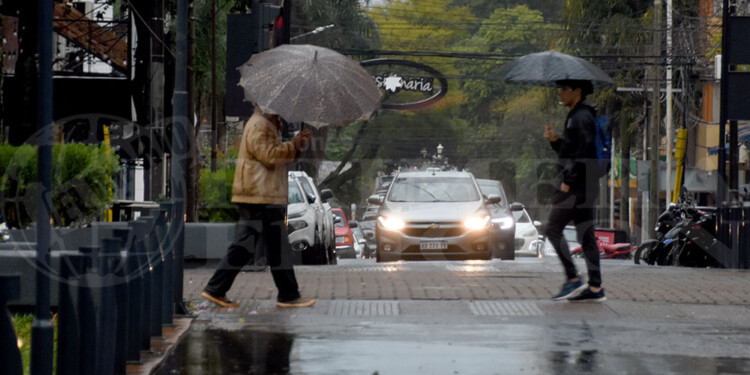EL NIÑO. Borús explicó que es evidente la presencia moderada/fuerte del fenómeno El Niño en la región.