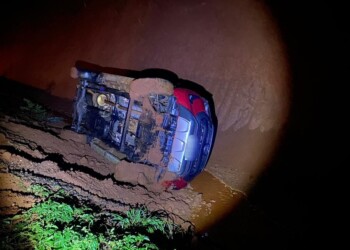 Volcó por esquivar un perro sobre la ruta 2