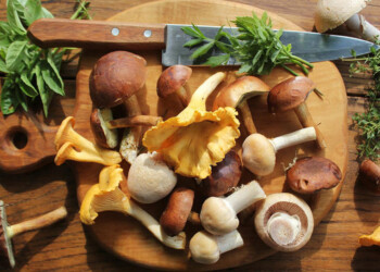 Hongos comestibles, para el público de Misiones es amor “al primer bocado”