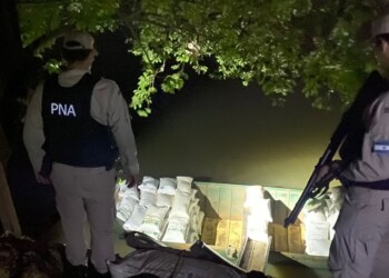 El Soberbio: decomisan alrededor de 17 toneladas de soja que iban a pasar a Brasil de forma ilegal