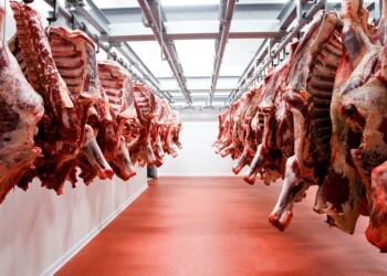 Carne: las exportaciones vuelan, pero los valores se desploman