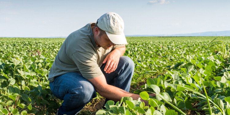 SALARIOS. En Argentina, los ingenieros agrónomos ganan hasta un 72% menos que en el resto de los países.