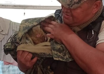 Rescataron un ejemplar de agutí en Wanda