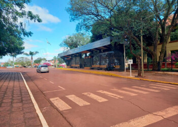 Denunciaron que conductores inhabilitados siguen manejando