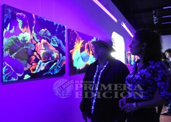 Un viaje por el espectro fluorescente en el museo Lucas Braulio Areco