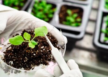 Bioinsumos: “Es hora de hablar en serio, sin exaltarse y poniendo arriba de la mesa los estudios científicos”