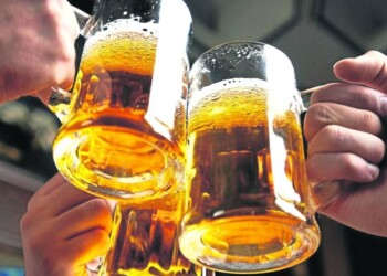 Un brindis para celebrar la 47ª Fiesta Provincial de la Cerveza en Alem