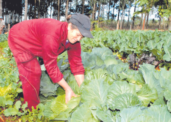 Crece la participación de mujeres rurales en instancias de capacitación