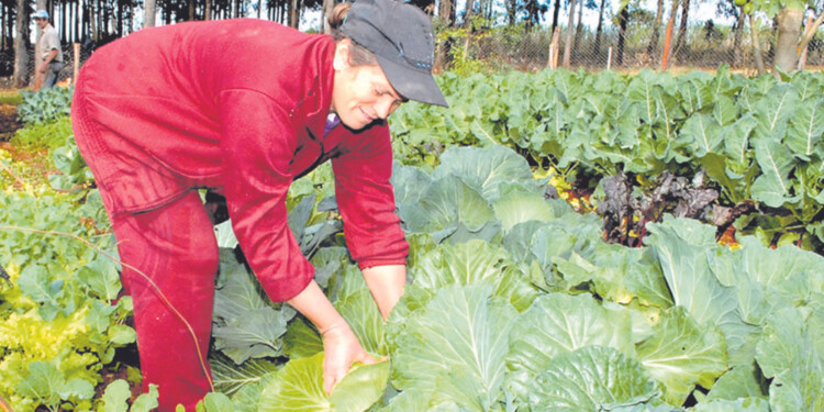 RURALIDAD. La evolución de la participación de la mujer en la ruralidad ha ido en crecimiento en los últimos años.