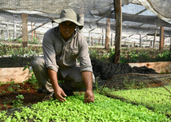 Misioneros se capacitaron en producción hortícola abierta