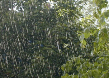 Estiman un trimestre con récord de precipitaciones en la región