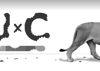 ¿Cómo terminaron Puerta y Schiavoni como referentes de Milei en Misiones?