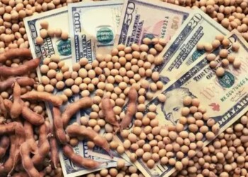 A través de un DNU, el Gobierno oficializó la prórroga del dólar soja