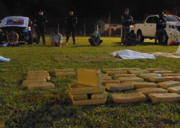 La Policía secuestró más de 22 toneladas de marihuana este año