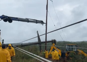 Desde Energía de Misiones estiman gastos superiores a $120 millones en daños causados por la tormenta