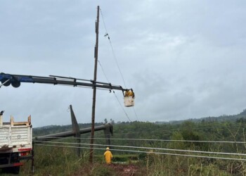 Desde Energía de Misiones estiman gastos superiores a $120 millones en daños causados por la tormenta