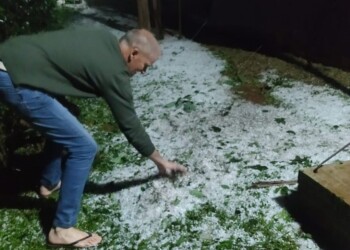 Temporal: daños incalculables en la producción