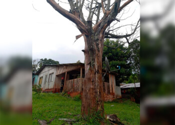 Oberá: la caída de un rayo provocó un principio de incendio en una vivienda
