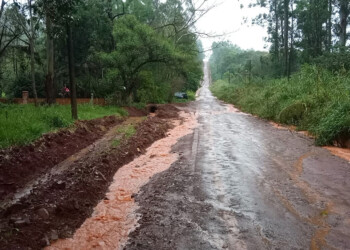 Productores piden mejorar caminos terrados en Montecarlo y Eldorado