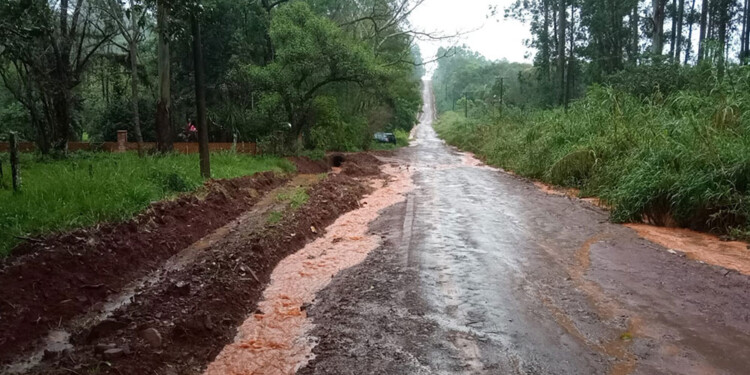 RUTA 15. Según lo explicaron la parte más problemática es la ruta provincial 15 y los caminos terrados lindantes a las colonias Guaraypo, Laharrague, Isla 9 de Julio, Guatambú y 4 Bocas. (Foto: Gentileza Frances Lowe)