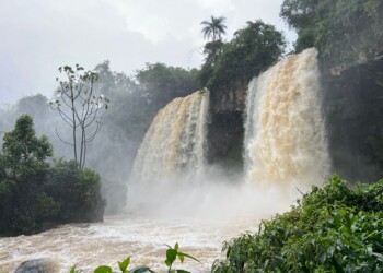 Elecciones: el Parque Nacional Iguazú abrirá de manera normal el domingo
