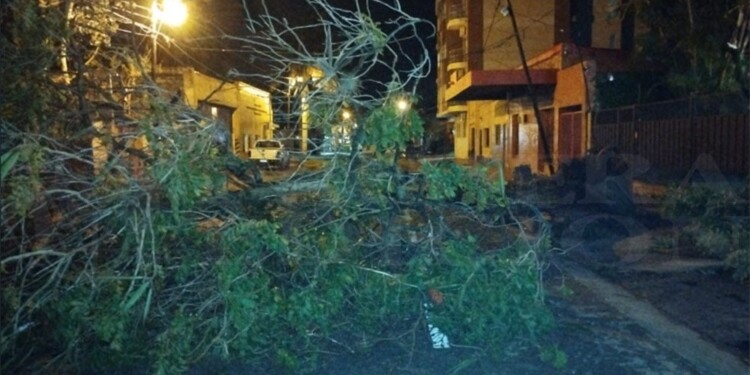 CON FURIA. El temporal de agua y viento del lunes a la noche, se abatió con fuerza en Posadas.