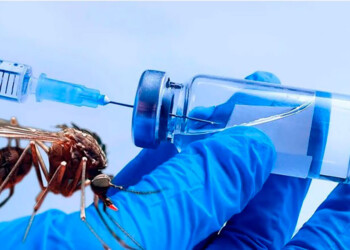Vacuna contra el dengue: “Primero hay que proteger a los 200 mil argentinos que ya tuvieron un episodio”