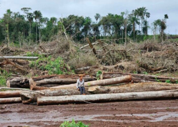 Denuncian a Petrovalle, Arauco y otras por daño ambiental