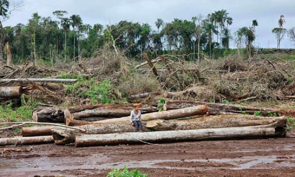 Denuncian a Petrovalle, Arauco y otras por daño ambiental