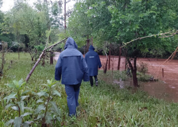 Desesperada búsqueda de un joven que se arrojó a un arroyo en Panambí