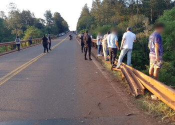 Camionero que transportaba carne porcina despistó y cayó desde el Puente Yazá