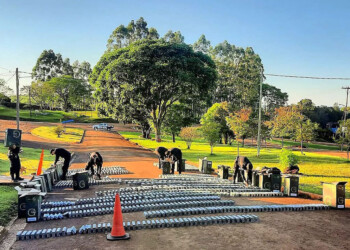 Nuevo golpe al contrabando de cigarrillos, incautan cargamento valuado en más de $20 millones