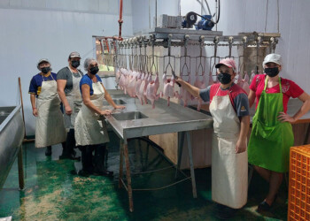 “No nos habilitan la planta de faena de la cooperativa y por eso vamos de mal a peor”